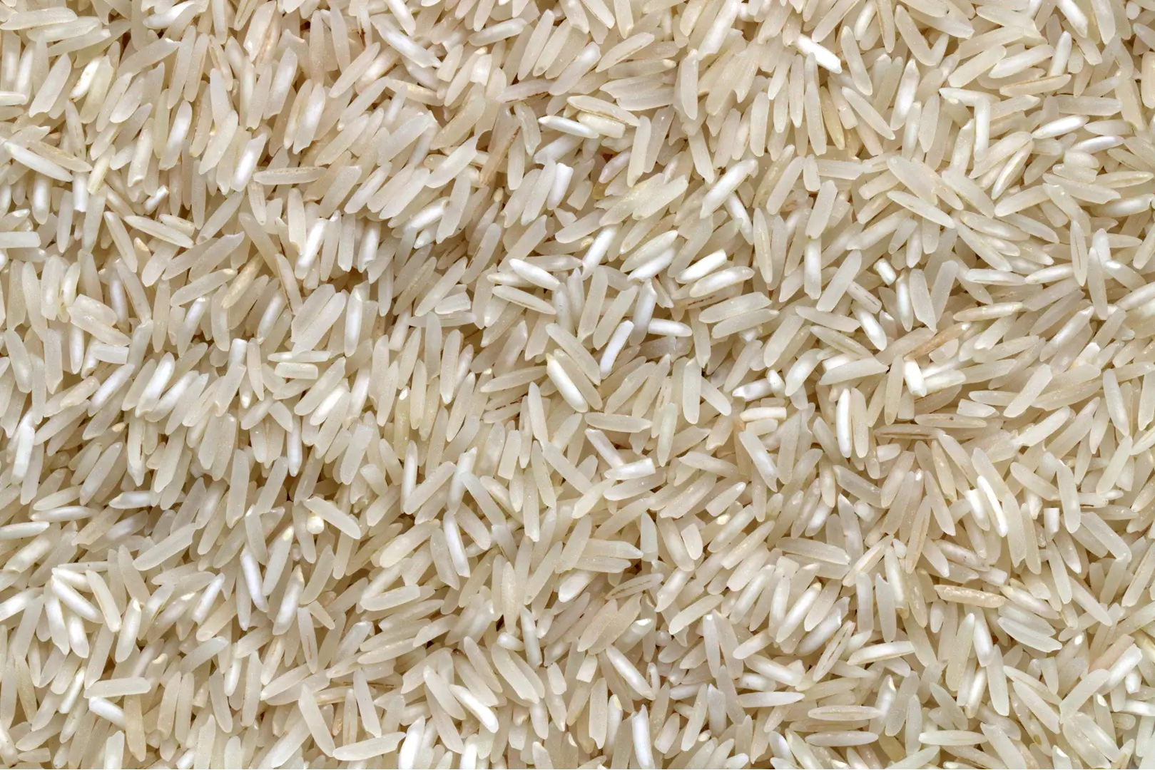 Arroz